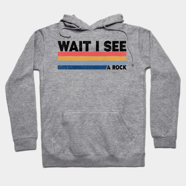 Wait I See A Rock - Funny Geologis Hoodie by BaderAbuAlsoud